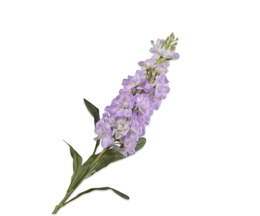 Zijde Violier lavendel