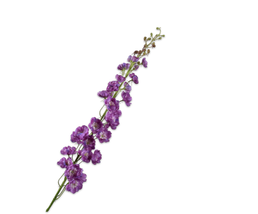Zijde Delphinium Paars 127 cm