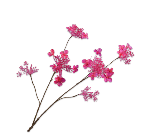 Zijde Hortensia tak fusia