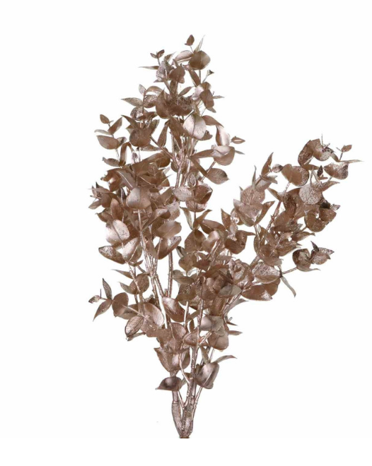 Eucatak champagne