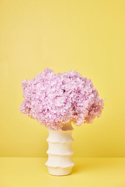 Hortensia Droogboeket MOEDERDAG