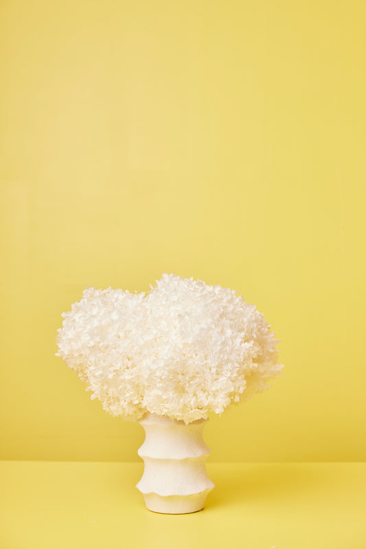 Hortensia Droogboeket MOEDERDAG