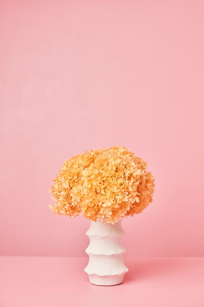 Hortensia Droogboeket MOEDERDAG