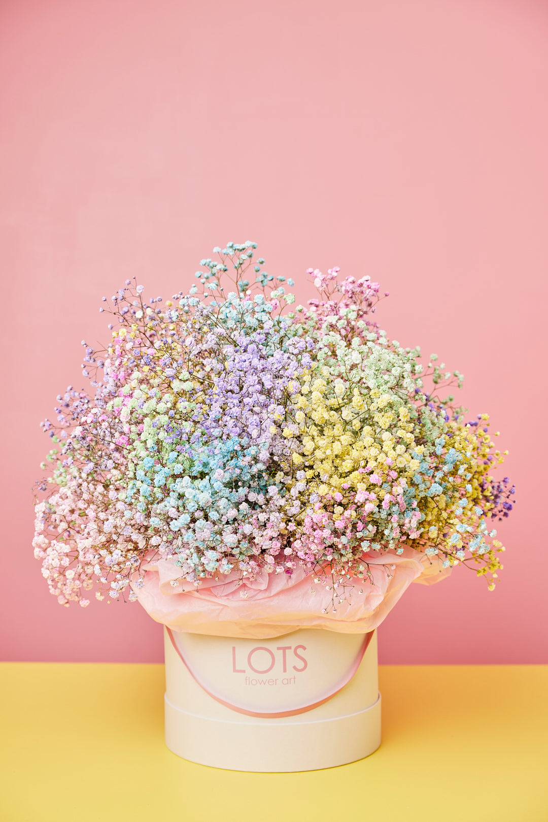 Gipskruid Box MOEDERDAG