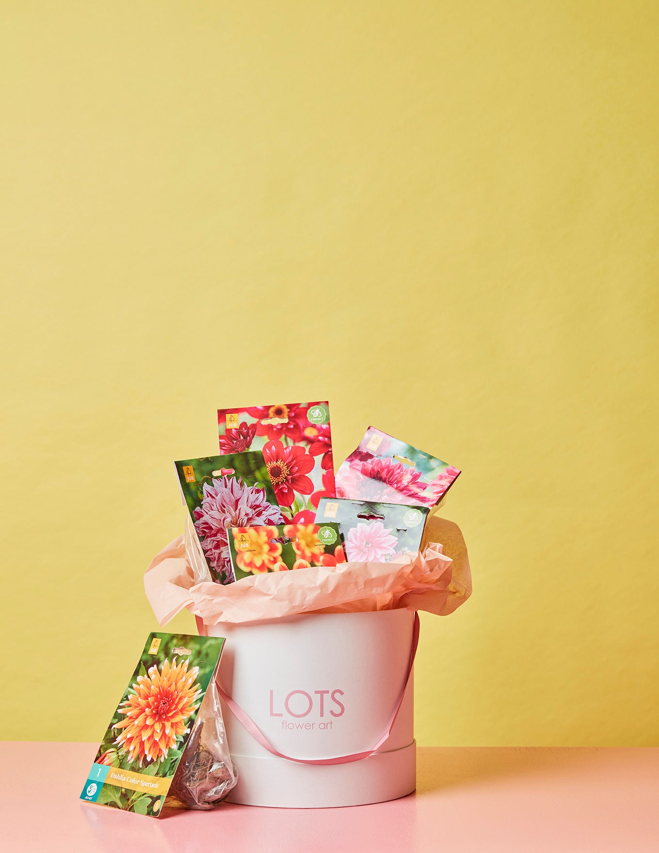 Dahlia Box Fel