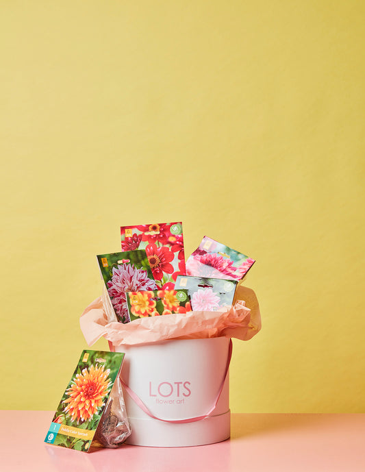 Zomer Mix Box