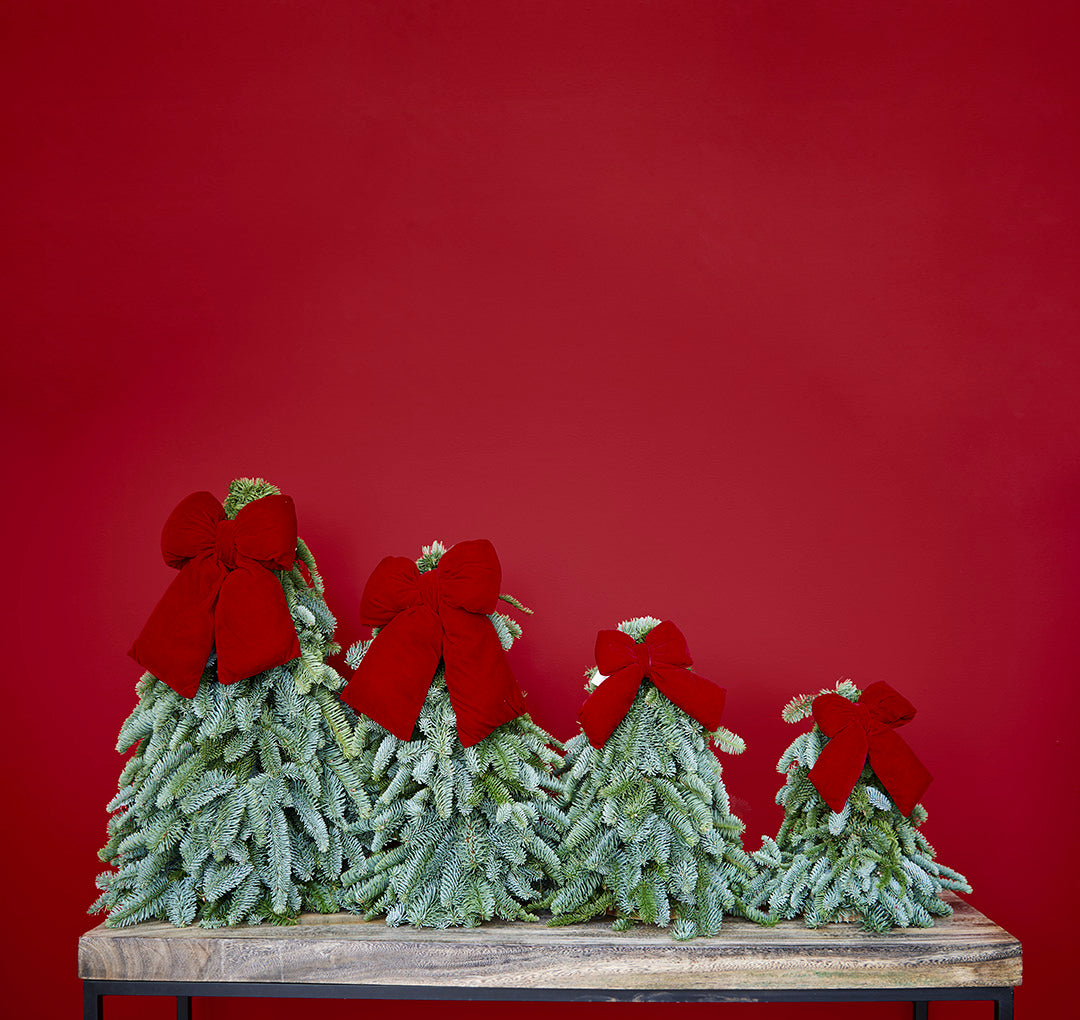 Kerstboompjes met Strik