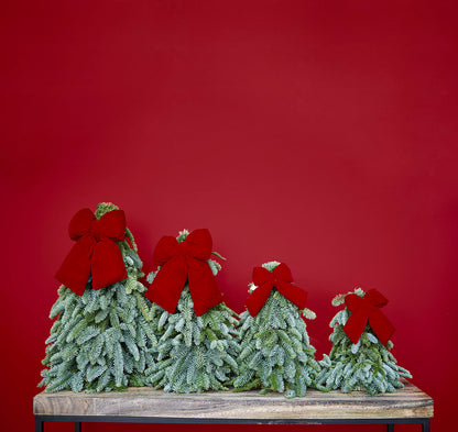 Kerstboompjes met Strik